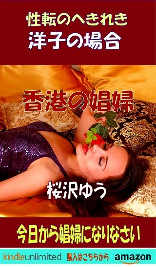 性転のへきれき-洋子の場合(TS小説の表紙画像)