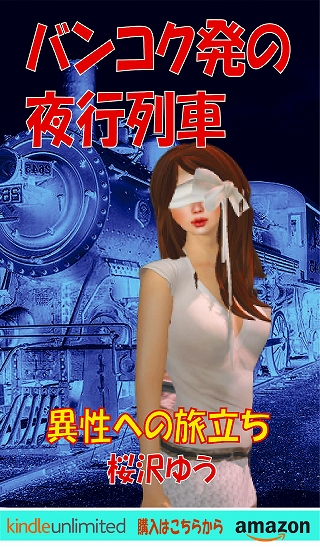 バンコク発の夜行列車：異性への旅立ち(TS小説の表紙画像)